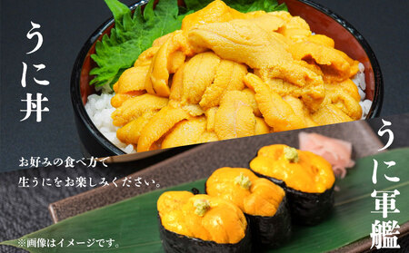 fn-72-039 三陸釜石・漁師直送 生うに 150g×4本 【5月中旬から7月頃期間限定 お届け便】 両石港 隆丸