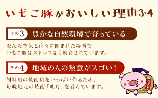 【訳あり】いもこ豚（彩） 5種盛り バラエティセット 合計2.16kg バラ バラ 小間切れ 細切れ こま切れ ロース 肩ロース しゃぶしゃぶ スライス 豚ミンチ 豚肉 いもこ豚 セット 詰合せ 生姜