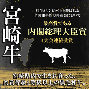 宮崎牛ロースステーキ(400g・200g×2枚)【SJ002】【日本ハムマーケティング株式会社】