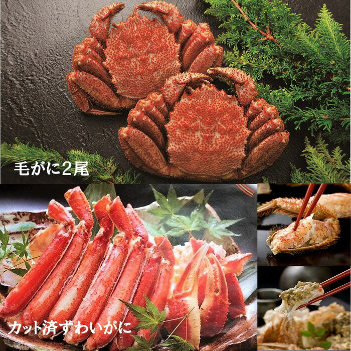 【ふるさと納税】 毛がに 2 尾 と ずわいがに カット脚 ( 棒肉 ・ 肩肉 ・ 爪肉 ) 毛ガニ 毛蟹 けがに ケガニ かに カニ 蟹 ズワイ ずわい ズワイガニ ズワイ蟹 ずわい蟹 お取り寄せ グルメ 海鮮 むき身 剥き身 北海道 根室市 ふるさと納税 C-01008