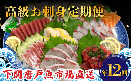 定期便 年12回 毎月 唐戸市場直送 高級お刺身 各2人前 ( 高級 鮮魚 魚介 冷凍 小分け 刺身 お手軽 とらふぐ ふぐ トラフグ 天然 ぶり ブリ のどぐろ ノドグロ 炙り ひらめ ヒラメ つぶ貝 桜鯛 鯛 たい タイ まぐろ マグロ イカ イサキ サーモン たこ タコ うなぎ 穴子 カンパチ かんぱち ハモ シマアジ あじ アジ ヒラソ ヒラマサ もみじ鯛 あわび クエ) 下関 山口県