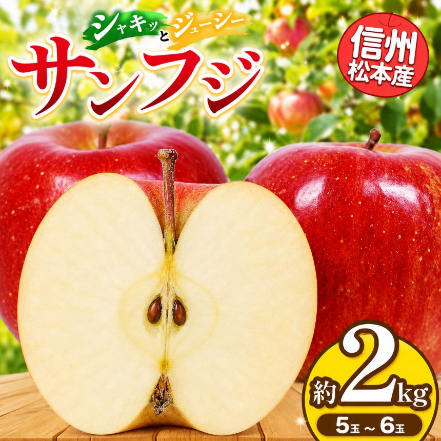 【ふるさと納税】【先行受付：11月発送】信州松本産　サンふじ　5～6玉約2kg 通常品 │ 林檎 りんご リンゴ サンふじ 果汁 果物 貴重 くだもの フルーツ 自然 旬 ご褒美 長野県 信州 松本 ふるさと納税