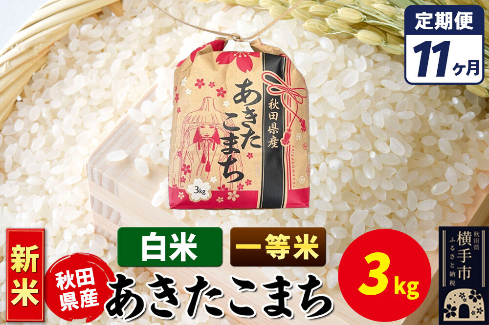 《新米》《定期便11ヶ月》あきたこまち 一等米 3kg×1袋【白米】令和8年産 秋田県産 こまちライン [新米 こまちライン あきたこまち ブランド米 お米 白米 精米 米どころ 秋田 秋田県産]