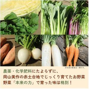 岡山美作の赤土台地でじっくり育てた季節の野菜約8種類と平飼い卵(6個入り)のセットです。【配送不可地域：離島】【1530200】