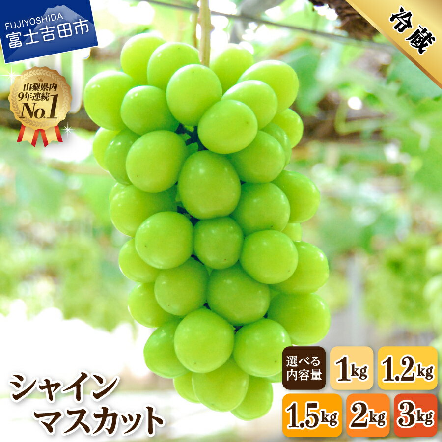 山梨県 シャインマスカット お楽しみセット 2房1kg