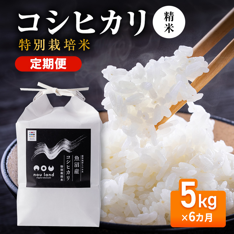 【先行予約】令和8年産 定期便 コシヒカリ特別栽培 精米 5kg×6カ月