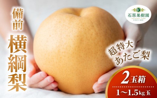 備前横綱梨 あたご梨 2玉箱 赤秀 1～1.5kg玉 岡山県産 | あたご梨 愛宕梨 梨 特選品 上級品 贈り物 御歳暮 果物 くだもの フルーツ 和梨 石原果樹園【ishk028-01】