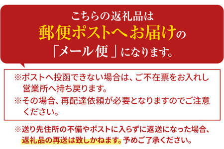 博多揚げホルモン(2袋セット) ホルモン 国産豚 唐揚げ おつまみ 送料無料 メール便（ポスト投函）