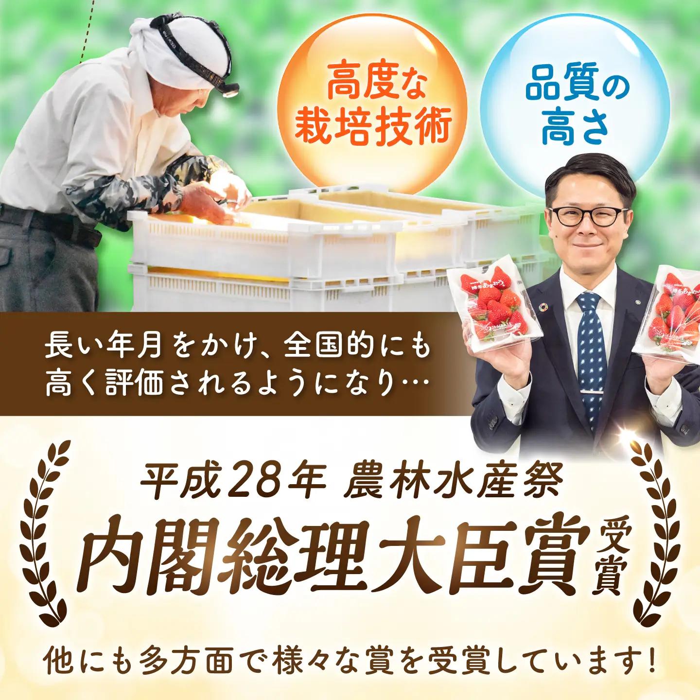 【2回定期便】いちご（あまおう）G等級 1ケース / あまおう[AFAB083]