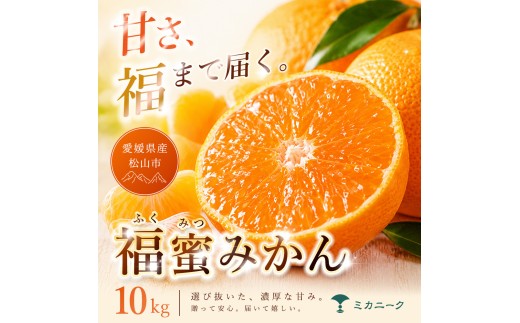 【いま注目されています】 濃密な甘さ 【 福蜜 みかん 】 10kg 愛媛県産 【2026年11月上旬頃から順次発送】 | 温州みかん ミカン mikan みかん 蜜柑 訳ありフルーツ 柑橘 果物 おすすめ お勧め お取り寄せ ギフト 愛媛県 松山市