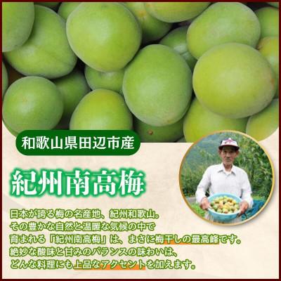 ふるさと納税 田辺市 有機梅肉 150g×2個【mrs037】 |  | 01