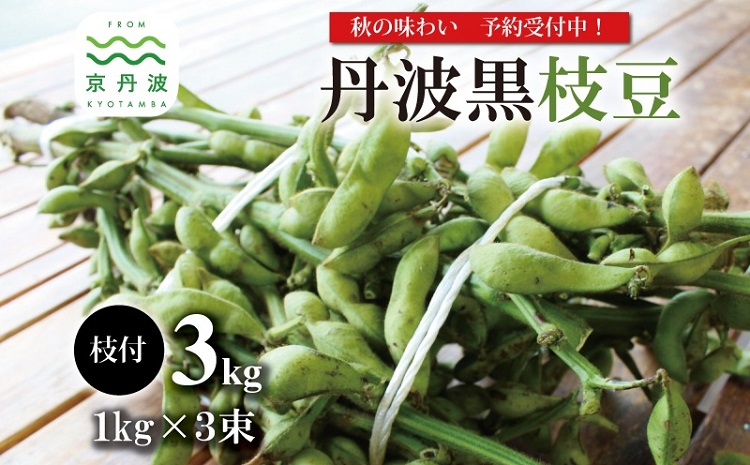 丹波黒枝豆 枝付き 3kg （京都 京丹波町産 丹波黒大豆）≪秋だけの期間限定・数量限定≫【季節限定 おつまみ  枝豆 えだまめ  黒豆 ご当地グルメ 特産品】