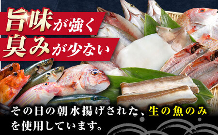 対馬産 旬の地魚 干物 5種 セット《対馬市》【対海】冷凍 肉厚 新鮮 直送 旬 海鮮 ひもの 朝食 イカ サバ[WAH024]