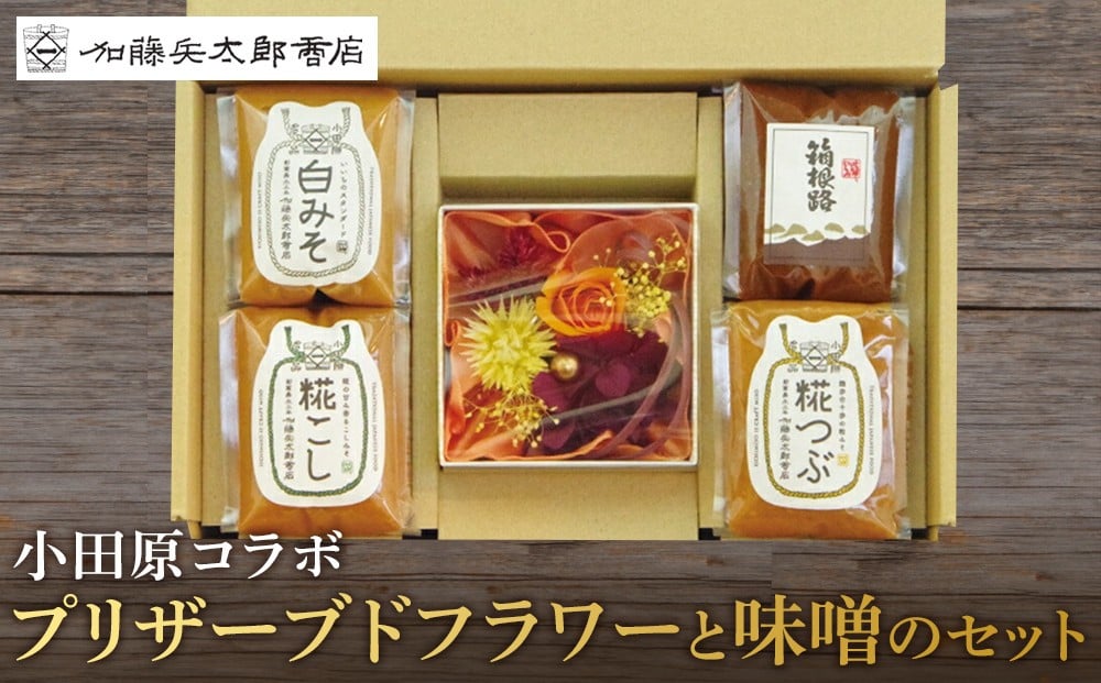 
小田原コラボ　プリザーブドフラワーと味噌のセット【みそ 味噌 ミソ 白みそ 糀こし 糀つぶ 赤みそ 合わせ 箱根路 贈答品 贈り物 詰合せセット 神奈川県 小田原市 】
