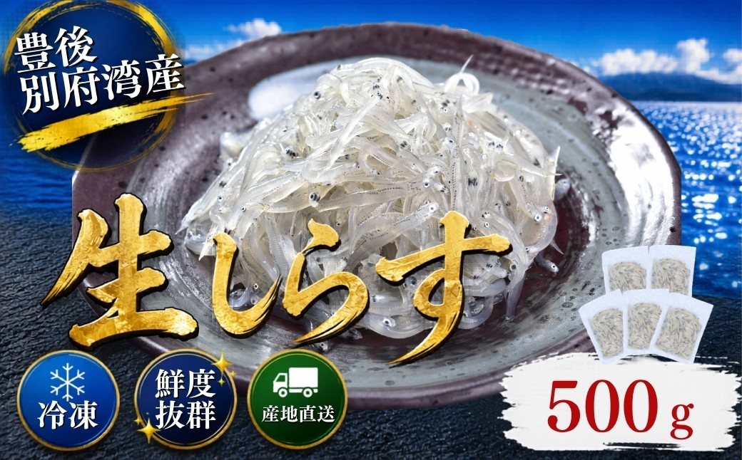 
                  豊後別府湾生しらす 計 500g（100g×5パック） 国産 添加物不使用 ／ 生しらす しらす 国産 小分け 冷凍 生シラス なましらす ナマシラス しらす シラス 500g 冷凍配送 海鮮丼 おつまみ スピード発送 スピード ＜108-221＞
                