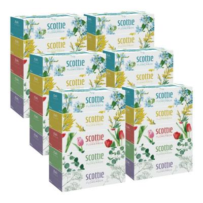 ふるさと納税 八代市 【スコッティ】ティシュー フラワーボックス 250組(5箱パック×6セット 合計30箱) |  | 01