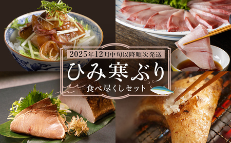 【先行予約】ひみ寒ぶり食べ尽くしセット【2025年12月中旬以降順次発送】 鰤 ブリ 詰め合わせ 冷凍 魚介 富山県 氷見市