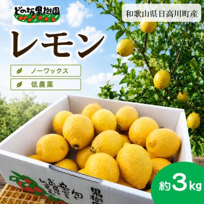 ふるさと納税 日高川町 【低農薬・ノーワックス】国産レモン 3kg/和歌山県日高川町産