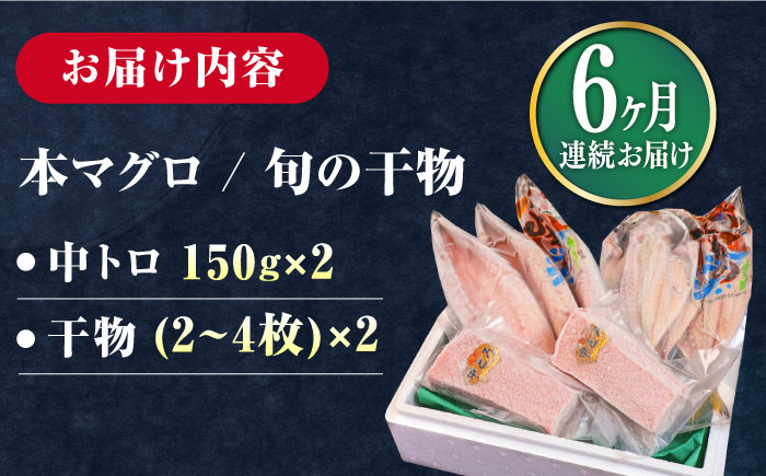 【全6回定期便】対馬産 本マグロ 中トロ 300g & 旬の干物 2種 《対馬市》【対海】 [WAH010] マグロ まぐろ 鮪 本鮪 本マグロ 養殖 トロ 中トロ 中とろ 刺身 干物 旬 魚 地魚 