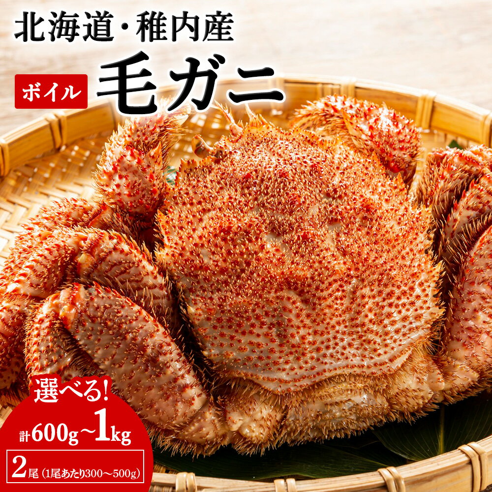 【ふるさと納税】【2025製造】ボイル毛ガニ 2尾 選べる計600g～1kg 1尾約300g〜500gボイル 毛がに 毛ガニ 毛蟹 ボイル 蟹 カニ 北海道ふるさと納税 稚内 ふるさと納税 北海道 【配送不可地域：離島・沖縄県】