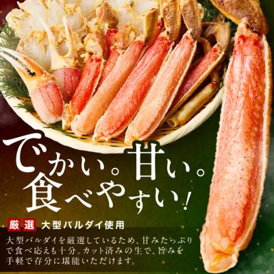 ふるさと納税 泉南市 □生本ズワイガニ ハーフポーション 大型バルダイ使用 約3kg(総重量4.5kg)ふるさと納税3.0 |  | 01