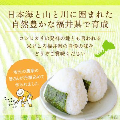 ふるさと納税 越前町 令和7年産 コシヒカリ(精米) 10kg |  | 02