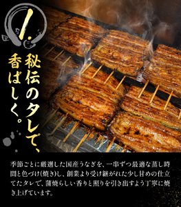 鰻 国産鰻蒲焼 2パック 約 120g ×2 有限会社安井家