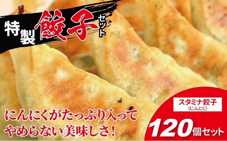 
にんにくたっぷり！スタミナ餃子　120個
