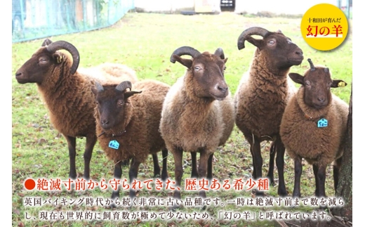 幻の国産ラム 青森県十和田市産 マンクスロフタン 200g（200g×1パック）【年間5頭限定】 仔羊 手切り 焼肉用 [羊肉 仔羊 手切り 焼肉用 ラム善]