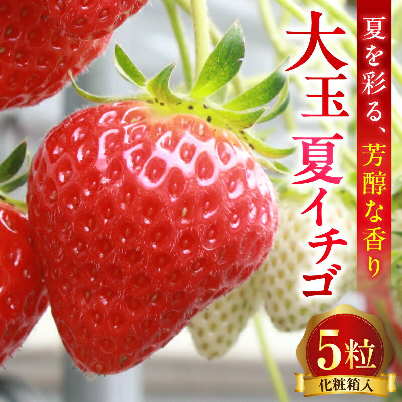 【ふるさと納税】大玉 夏イチゴ 「香る苺／Scentberry／セントベリー™」 化粧箱入り いちご 苺 イチゴ 夏イチゴ 大玉 ストロベリー セントベリー 冷蔵 果物 フルーツ 青果物 デザート 贈答 プレゼント 贈り物 化粧箱 香川県 三木町