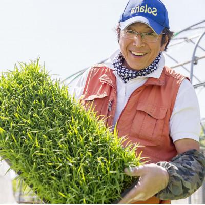 ふるさと納税 青森市 【さつき米】青森県産米「青天の霹靂」白米 2kg |  | 02