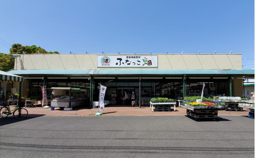 No.146 ジェラート詰合せ（ミルク/いちごミルク/落花生）