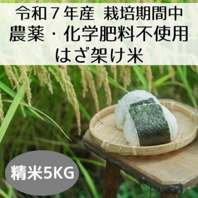 ふるさと納税 十日町市 【令和7年産・先行受付】新潟県魚沼産コシヒカリ「山清水米」はざ架け米(精米)5kg