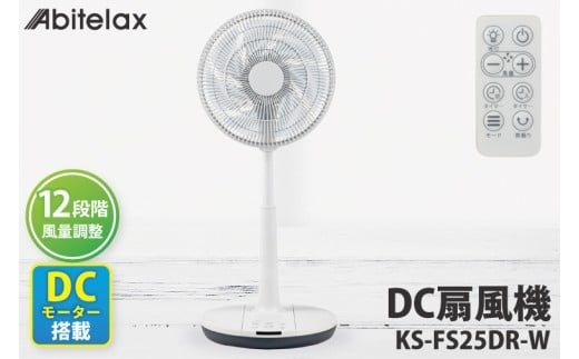 ケーズデンキオリジナルモデル DC扇風機 KS-FS25DR-W【家電 静音 省エネ DCモーター 風量調節 首振り 新生活】(NE-6)