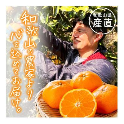 ふるさと納税 美浜町 【発送月固定定期便】和歌山 旬のカンキツ定期便【S】全4回 |  | 01