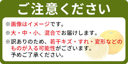 でん助農園の温州みかん（早生）訳あり 約10kg MDN0011