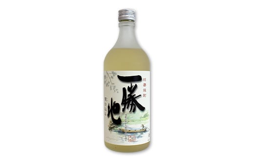 球磨焼酎 一勝地 720ml (2本セット) FKP9-529