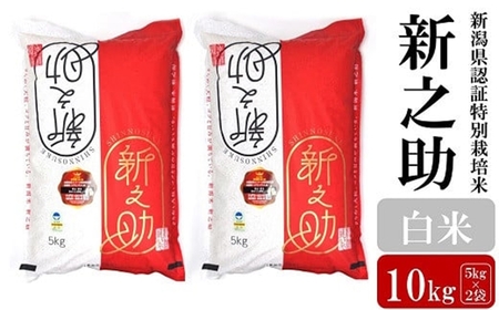 【令和7年産米】新之助 白米 10kg（5kg×2袋）新潟県認証特別栽培米 お米 新潟県産 アグリーホンマ[Y0368]