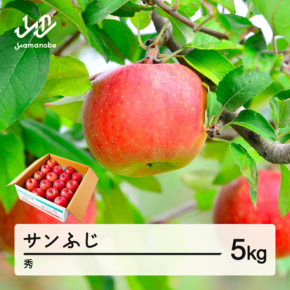 【ふるさと納税】【先行予約】りんご サンふじ 約5kg 秀品 リンゴ 林檎 令和7年産 2025年産 果物 山形県産 mm-risfs5