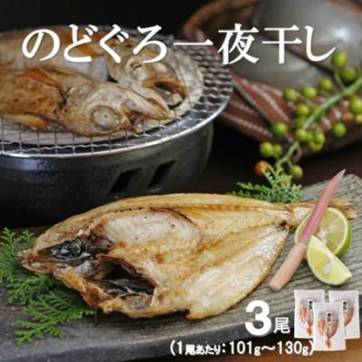 ふるさと納税 大田市 旨みが詰まった!のどぐろ一夜干し　3尾(1尾あたり101〜130g)　N30KF