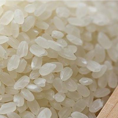 ふるさと納税 紫波町 【令和7年産】岩手県産無洗米銀河のしずく・無洗米ひとめぼれ(食べ比べセット 各5kg 計10kg) |  | 01