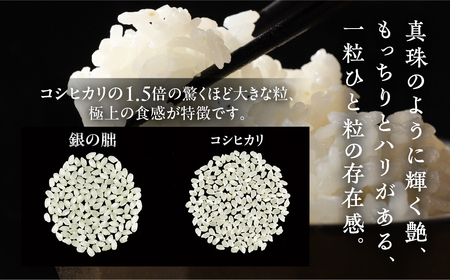 即納【2025年産米】銀の朏 5kg×1袋 皇室献上米 【13-2】