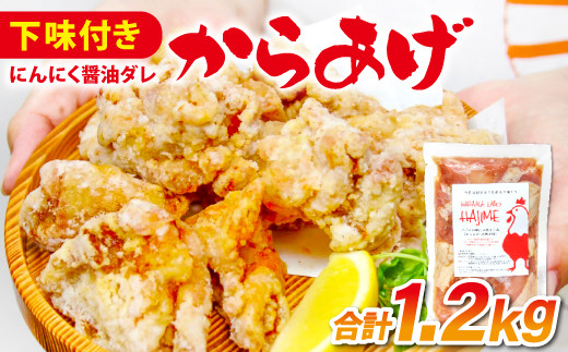 
ハジメのからあげ　秘伝ダレの下味付き鶏モモ肉（300g×4袋）【唐揚げ にんにく醤油 冷凍 揚げ物 お弁当 運動会 バーベキュー BBQ ホームパーティ 300g×4袋 肉 鶏肉 若鶏もも肉 下味付き】
