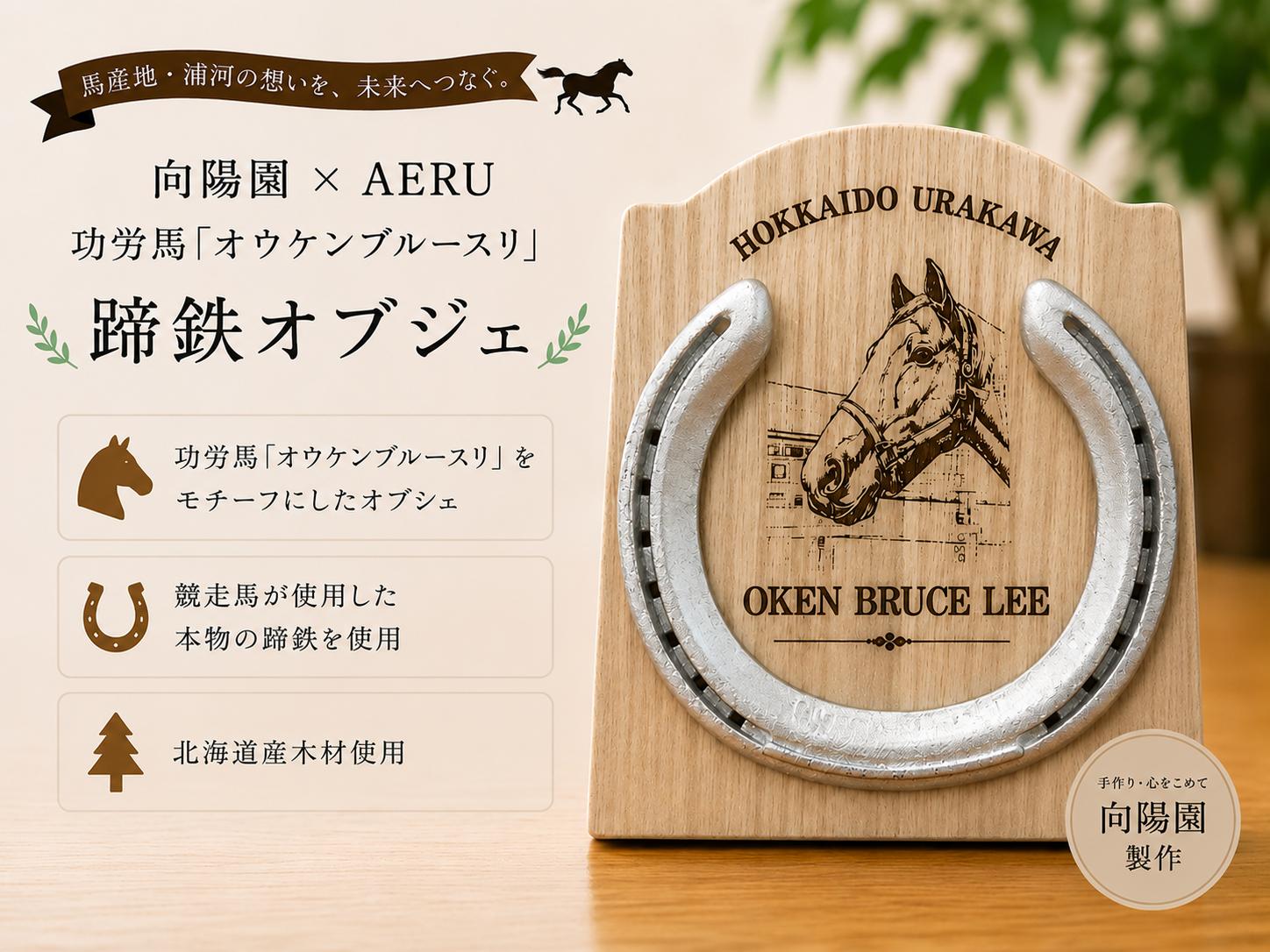
                  向陽園×AERU 功労馬「オウケンブルースリ」蹄鉄オブジェ[35-1639]
                