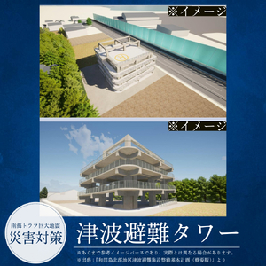【返礼品なし】3,000,000円　徳島県小松島市への寄付　応援寄付金