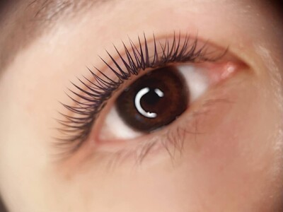 【 マツエク 】 LEDデザインキープラッシュ つけ放題 1回券