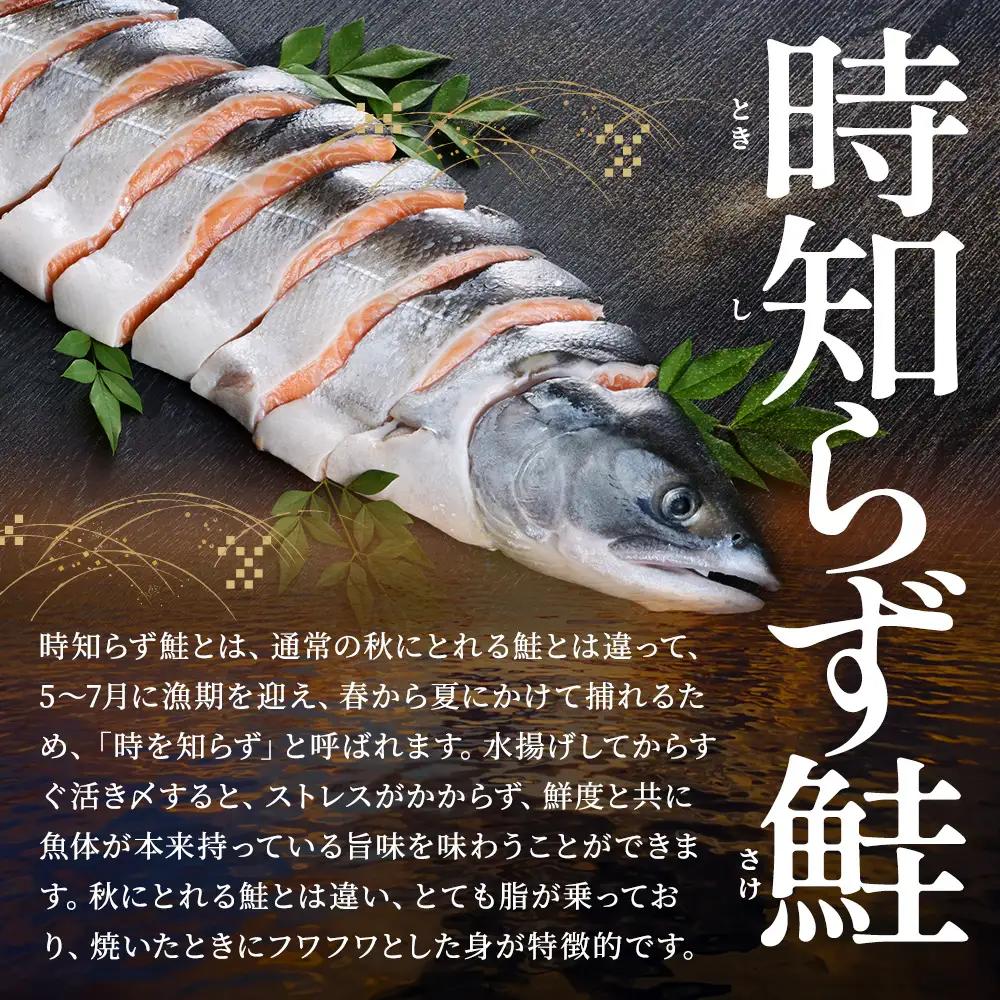 時鮭切り身 約2kg~2.6kg 時鮭 トキシラズ 【AF】