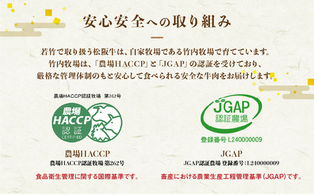 WT-22　竹内牧場選りすぐりの松阪牛ひとくちステーキ　300g　国産牛 松阪牛 松坂牛 高級和牛 黒毛和牛 ブランド牛（ 近江牛 神戸牛 に並ぶ 日本三大和牛 ） 霜降り 冷凍 ふるさと納税 送料無