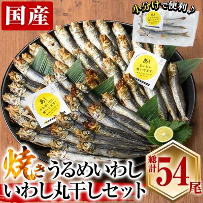 ふるさと納税 佐伯市 焼き うるめいわし 丸干し・焼き いわし 丸干し セット(総計54尾)