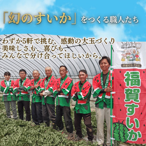 【先行予約】福賀すいか 特天 約11～12kg 山口県阿武町産 1株1玉栽培【2026年7月上旬～順次発送予定】